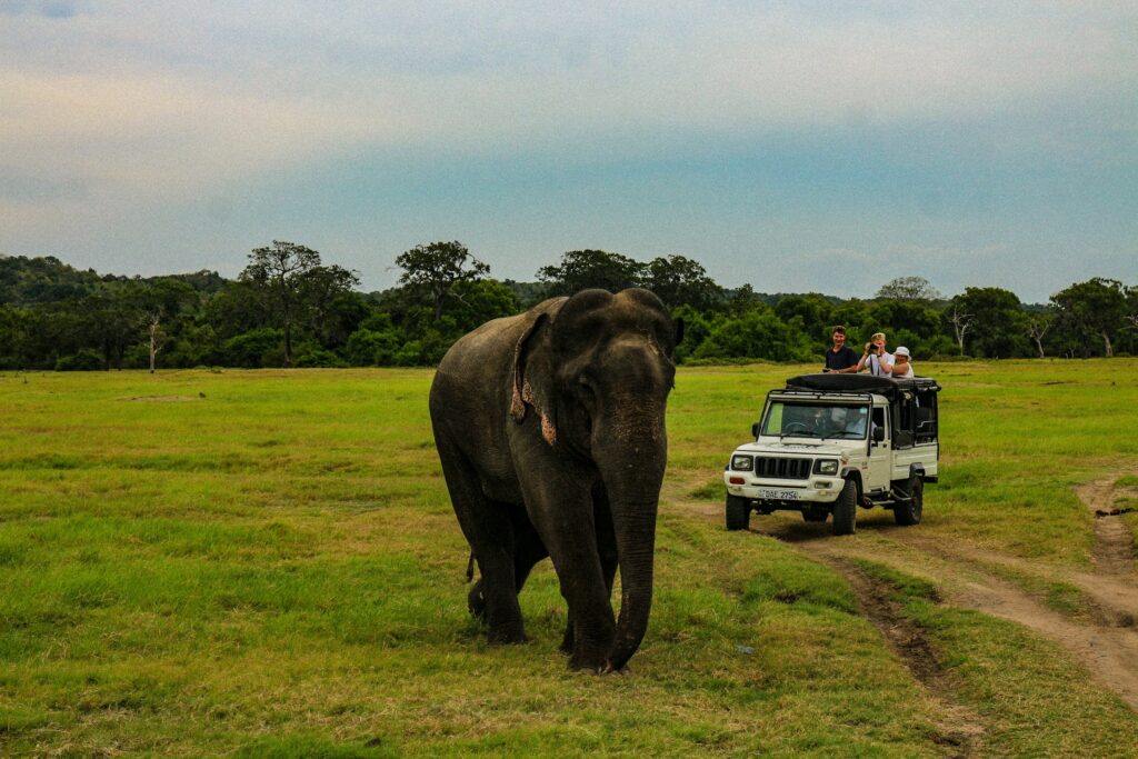 7-Day Culture, Wildlife & Beach Tour